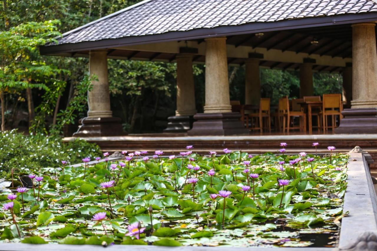 Kaveri Resort Sigiriya Eksteriør billede