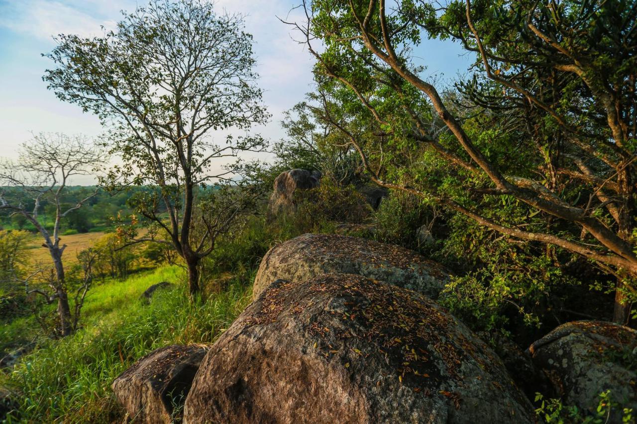 Kaveri Resort Sigiriya Eksteriør billede