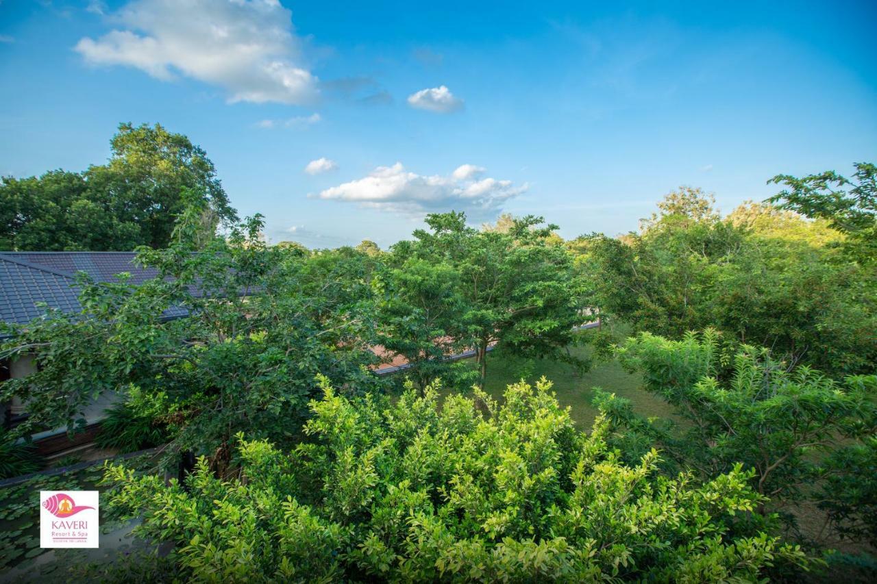 Kaveri Resort Sigiriya Eksteriør billede